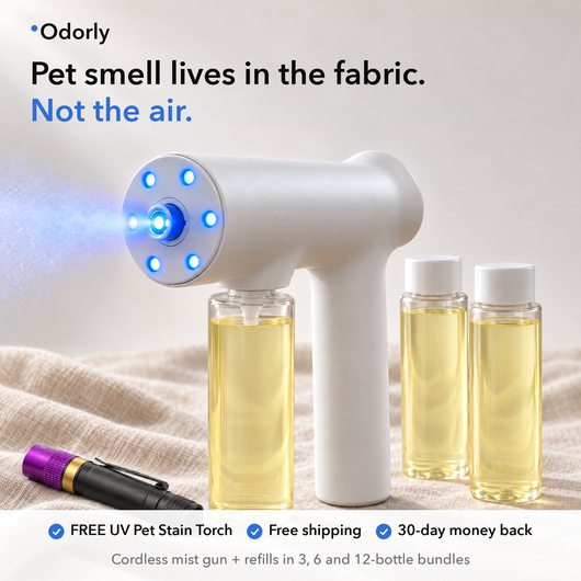Odorly mist gun with Reed bottles and the free UV pet stain torch